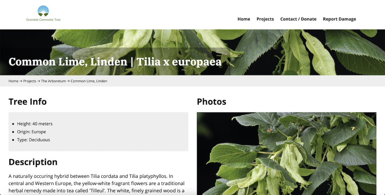 Specific tree page of the website